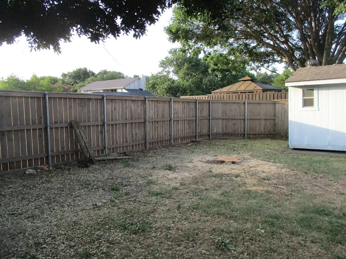 Cleared yard after professional tree removal in North Branch